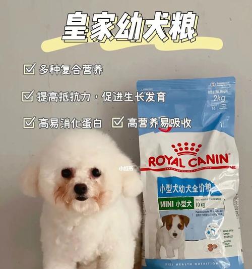 宠爱犬舍——以犬舍狗粮套餐呵护你的宠物健康（营养全面）