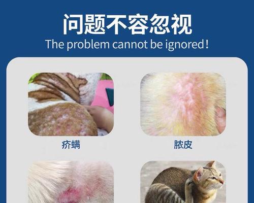 以人得了猫藓，应内服何种药（以宠物为主）