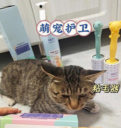 如何防范猫咪传染病（宠物猫必知的防病指南）