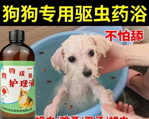 灭小猫身上的跳蚤，宠物主人必看（如何有效预防和治疗小猫身上的跳蚤）