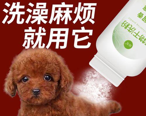 怎样治疗泰迪犬耳朵螨虫？