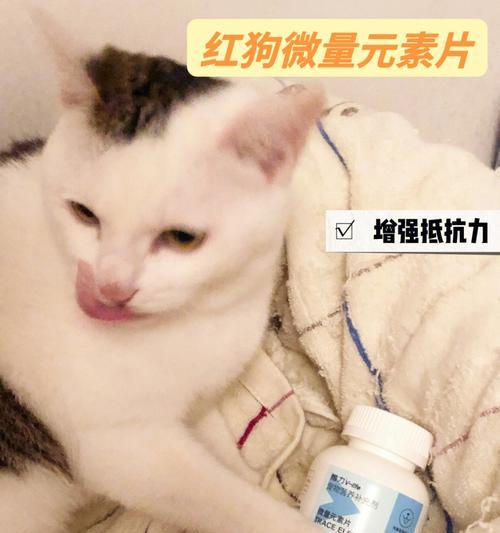 如何正确给猫喂微量元素粉（以宠物健康为出发点）