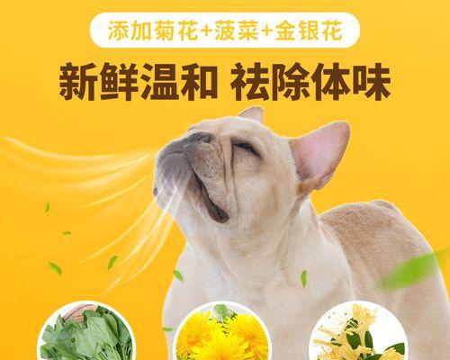 3个月斗牛犬的科学喂养秘籍（掌握合理狗粮用量）