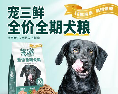 金毛犬三个月是否需要泡狗粮（宠物健康从饮食开始）