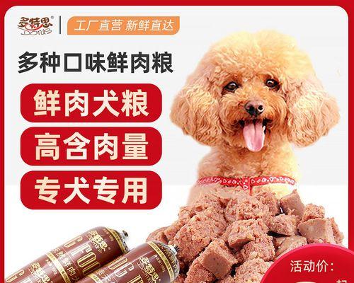 解密金毛犬日常狗粮摄入量，掌握关键要素（金毛犬的饮食习惯）