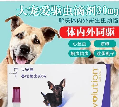 成年犬狗体内驱虫，健康必备（宠物驱虫的注意事项）