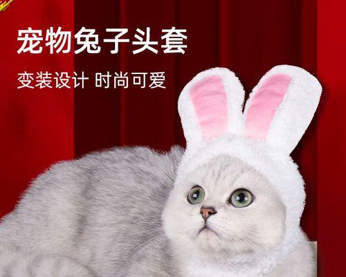 猫咪耳朵不可随意吹（保护宠物耳朵健康）