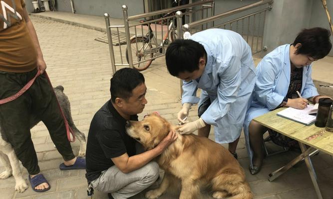 打完狂犬疫苗手指为什么会疼（探究狂犬疫苗对手指的影响）