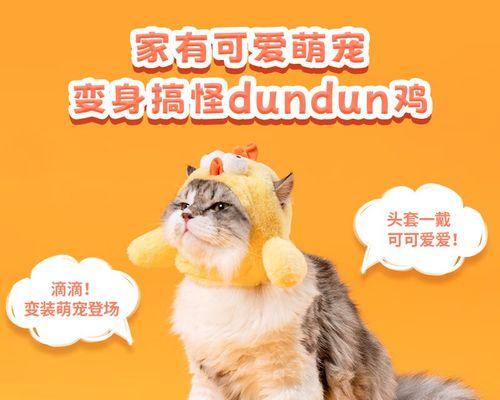 怀孕的猫猫不能吃什么药（宠物保健小知识）