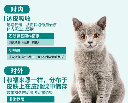 怀孕猫咪可以用驱虫药吗（安全有保障的宠物驱虫方法）