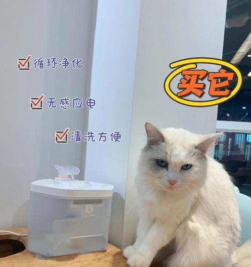 怀孕的猫咪应该多喝水（怀孕猫咪水分摄入量的重要性及养成良好喝水习惯）