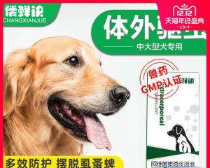 孕狗驱虫指南（安全有效的怀孕母狗驱虫药物及注意事项）