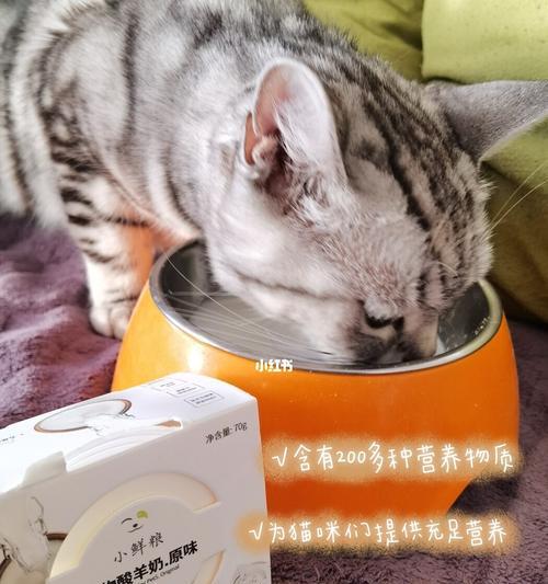 以家养猫，选择适宜的猫粮很重要（了解猫咪的营养需求和饮食习惯）