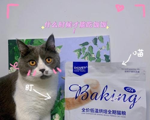 猫咪能吃面包糠吗（探究猫咪的饮食偏好和营养需求）