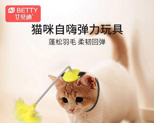 猫咪最爱的10种玩具（从宠物的角度看待玩具）