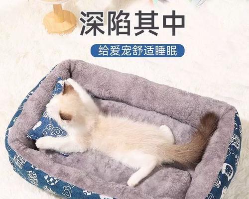 猫咪为什么喜欢占小狗窝（探究猫狗宠物之间的关系）