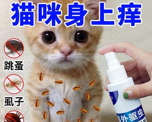 猫咪下完崽后多久可以进行驱虫（宠物养护的必要性和驱虫的重要性）