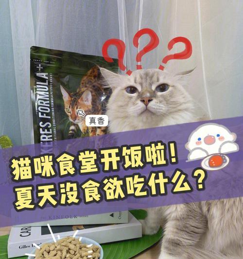 夏季养猫必备，这些食物你不能错过（宠物猫夏天需要什么营养）