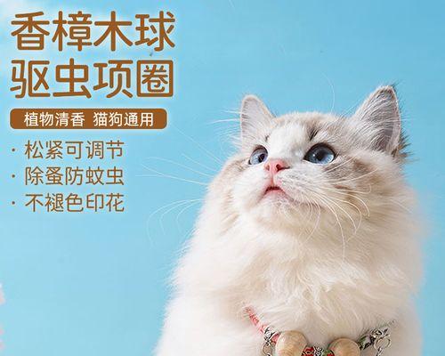 猫咪项圈铃铛推荐——给你的宠物增添时尚元素（让你的猫咪获得更多关注和保护）