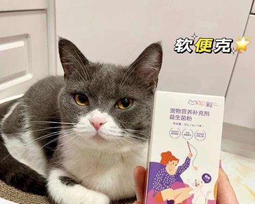 宠物猫每天需要摄入益生菌（为什么猫咪需要益生菌及如何正确添加）