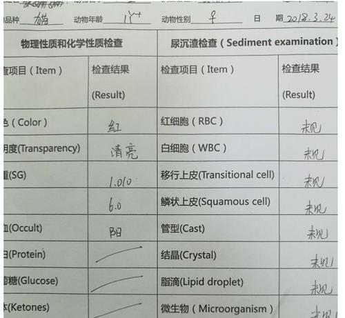 宠物猫咪的血常规（为什么我们需要关注猫咪的血常规）