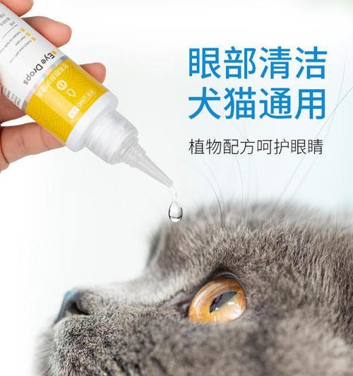 用眼药水治疗猫咪结膜炎，保护宠物健康（以宠物为主）