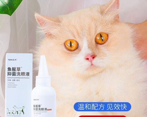 猫咪眼药水，宠物眼睛健康的必备品（从宠物眼睛常见疾病到猫咪眼药水的正确使用）