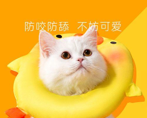 猫咪咬人无征兆，这是为什么（探讨猫咪咬人的原因及应对策略）