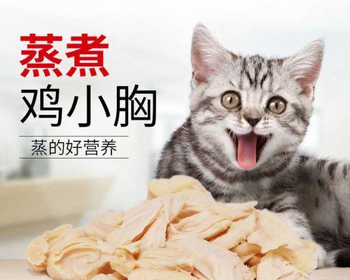 猫咪的理想饮食（为宠物健康着想）