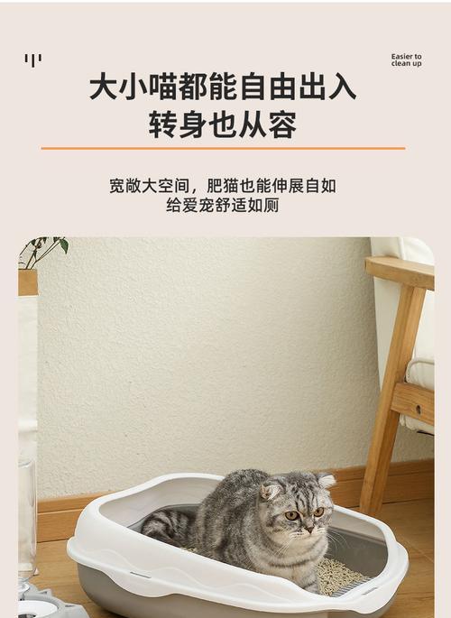 猫咪热爱猫砂盆，原因让人意外（猫咪的神秘行为揭示）