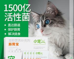 猫咪益生菌，如何选择最好的品牌（宠物健康必备）