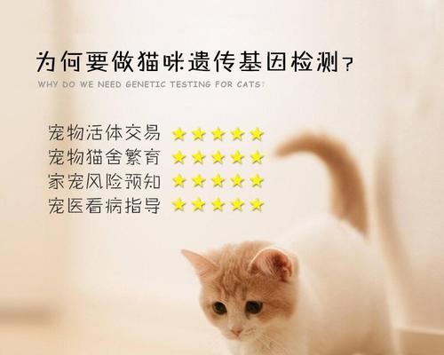 揭秘猫咪隐性基因的奥秘（探究猫咪基因背后的秘密）