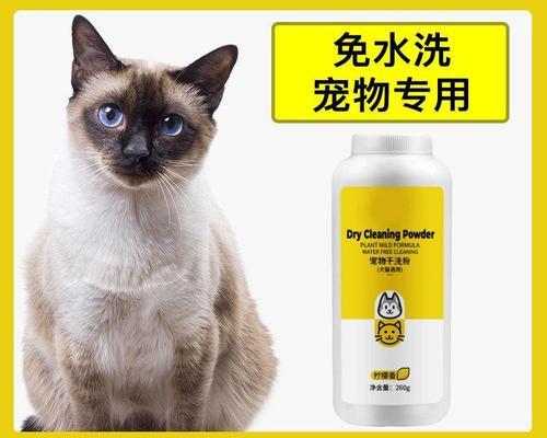 猫咪起火了怎么办（宠物火灾应对指南）