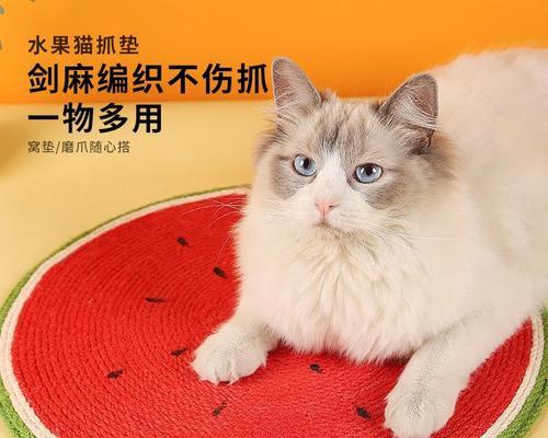 猫咪的磨爪行为与解决办法（如何让你的猫咪不再毁坏家具）