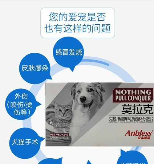 小猫阿莫西林吐，你该怎么办（以宠物为主）