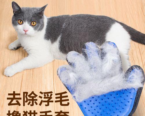 小猫的胆大妄为（以小猫之口）