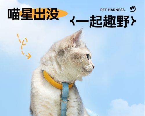 小猫被打怕了，该如何帮助它恢复信心（宠物受惊后的应对策略与心理疏导）