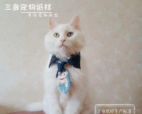 以小猫脖子骨头高为主题的宠物关爱知识分享（了解小猫脖子骨头的重要性）