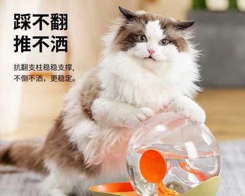 为什么小猫不爱爬猫架（探究猫咪对猫架的厌恶感及如何解决）