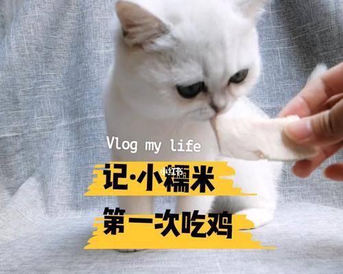 宠物小猫吃鸡肉拉肚子的应急处理方法（教你如何保护宠物健康）