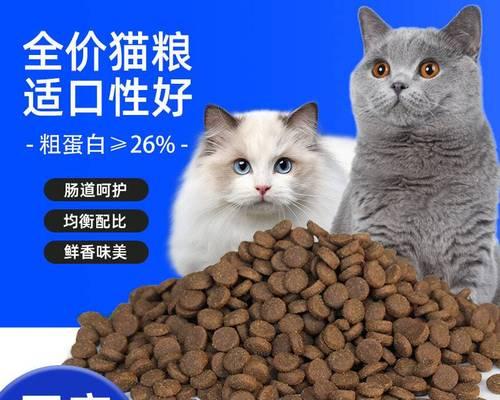 小猫吃猫粮的正确泡法（为宠物健康着想）