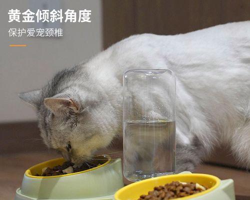 宠物猫如何获得营养均衡的饮食（从喂食量到食物种类）