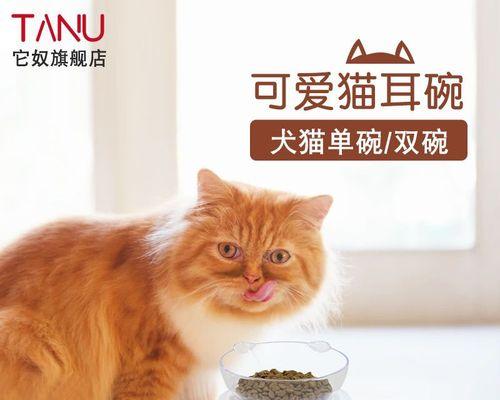 小猫吃太多猫粮该怎么办（以宠物为主）