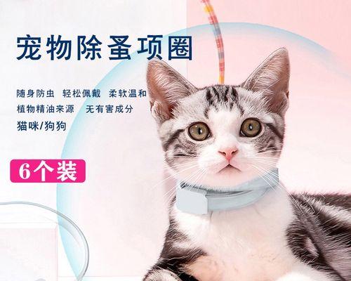 关于宠物猫的驱虫时间（小猫的健康需要你的关注）