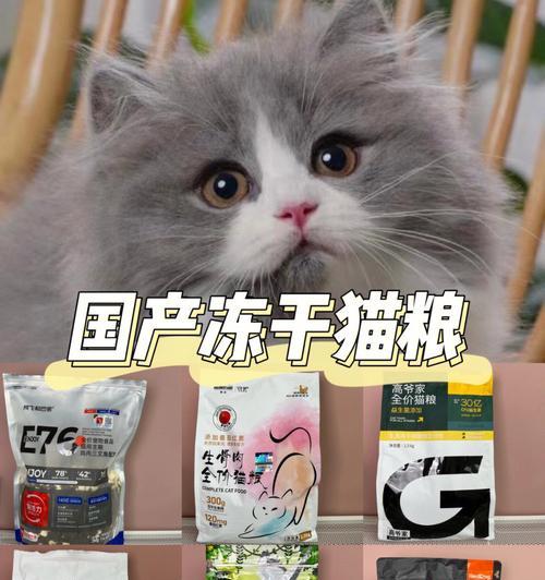 小猫除了猫粮，还能吃什么（宠物的饮食之道）