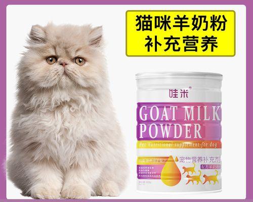 小猫的成长变化（从小猫到大猫的成长历程）