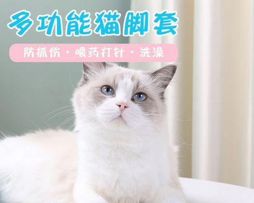 小猫的爪子太尖怎么办（宠物的护理技巧和注意事项）