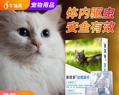 小猫打虫需谨慎，拉稀不可忽视（宠物健康必备知识）