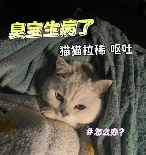 宠物小猫学会自己厕所的时间（了解小猫如何学习使用厕所）