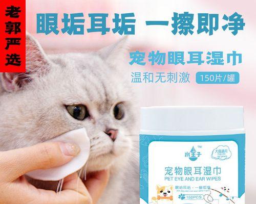 如何正确清理宠物小猫耳屎（小猫耳朵清洁攻略）